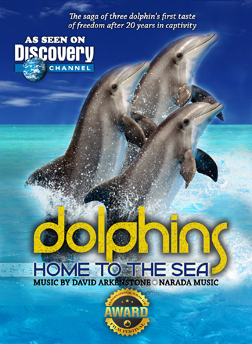 Dolphins Home to the Sea DVD