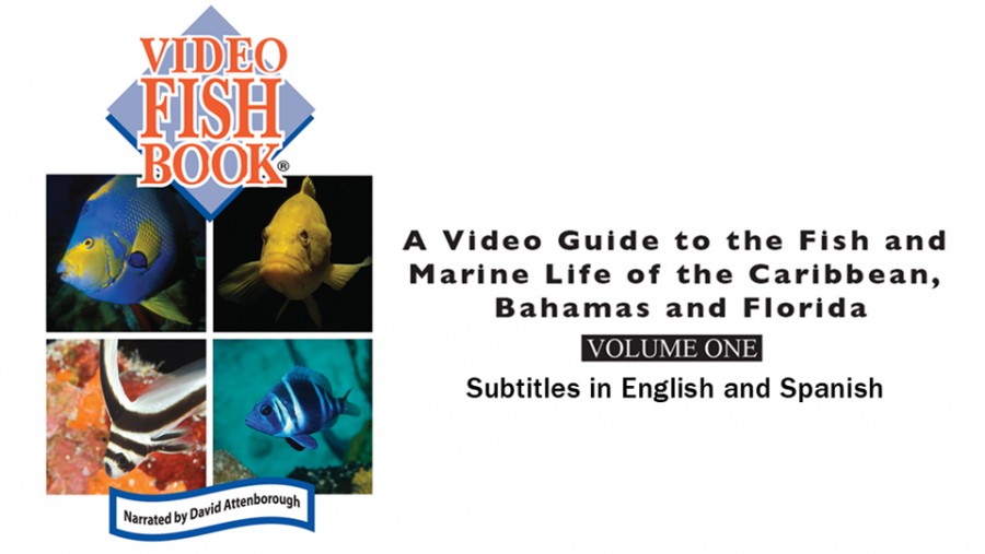 Earth - Video Fish Book, Volume 1