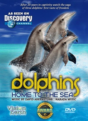 Dolphins Home to the Sea