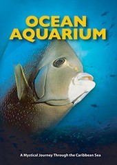 Ocean Aquarium